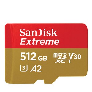 샌디스크 익스트림 메모리카드 마이크로칩 QXA1, 512GB, 1개