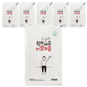 착하세요 빨간양파즙 100포, 100개, 100ml