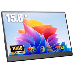 에비크 39.62 cm FHD IPS DEX 포터블 모니터 초경량 휴대용 HDR, 39.62cm, 블랙