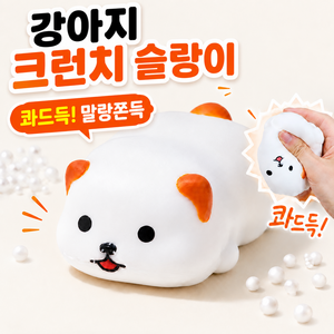 다금샵 강아지 크런치 말랑이 바삭한 슬랑이, 1개, 90g, 백구