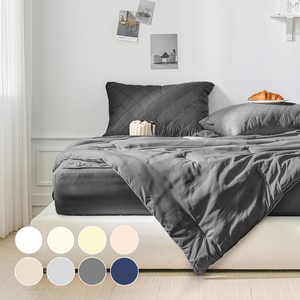 데시뉴 뉴노멀 항균 다운필 간절기 차렵이불