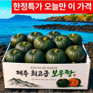 [마지막초특가] 제주 미니 밤호박 보우짱, 1박스, 3kg (정품) 골드박스 특가