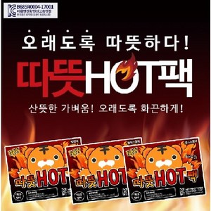 리예코퍼레이션 포켓형 흔드는 따뜻핫팩 48.9g, 20개