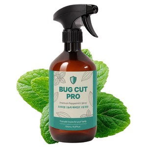 버그컷프로 천연오일 원액 계피 시나몬 스프레이 피톤치드 편백스프레이 유칼립투스, 500ml, 1개, 페퍼민트스프레이
