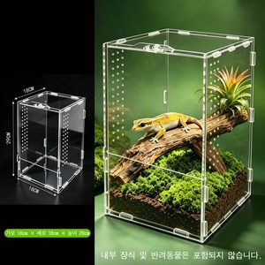 아크릴 파충류집 도마뱀집, 1개, 투명