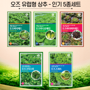 유럽 상추 씨앗 5종 세트, 1개, 유럽상추씨앗 5종세트