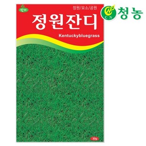 잔디씨앗 30g 정원잔디 공원잔디 묘소잔디 다용도잔디 씨앗 케이스스탁, 1개
