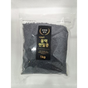 더담은 블랙렌틸콩 검정렌틸콩, 1kg, 4개