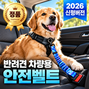 제비온 대형견 차량 이동 필수템 안전벨트 차량용 충격방지 탈출방지 고탄력 벨트, 1개, 갤럭시블루