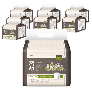 정성 남녀공용 매직팬티 성인기저귀, 대형, 10개입, 8개