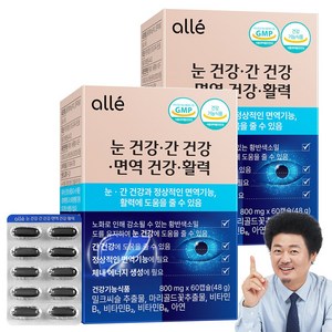 눈건강 간건강 면역건강 활력 눈간면활 루테인 밀크씨슬 알레 영양제, 2박스, 60정