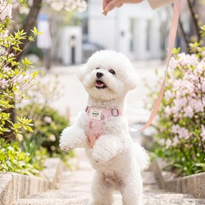 Coablu 소형견 강아지 체크 레이스 베스트 하네스 산책 리드줄 세트, 1개, PINK