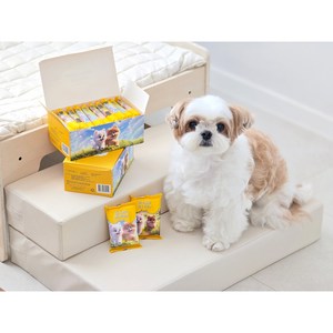 마스코타 펫티슈 반려동물 엠보 저자극 물티슈, 2박스, 10개입