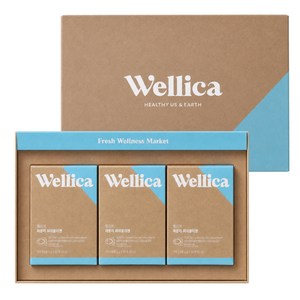 웰리카 저분자 피쉬 어린콜라겐 펩타이드 300달톤 이너뷰티, 3개, 60g