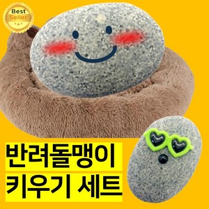 쎄네핏 반려돌맹이 반려돌 키우기세트 소품 납작돌 키우는 애완돌, 1개