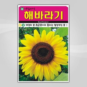 아람종묘 해바라기 꽃 씨앗 50p, 1개