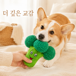 강아지 장난감 삑삑이 봉제 인형 반려견 채소 토이, 1개, 브로콜리