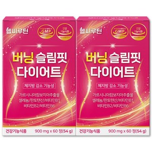 헬씨루틴 버닝 다이어트 탄수화물 컷팅 복부 내장 체지방 감소 보조제, 2개, 60정