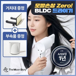 더문 헤어 드라이기 항공모터 음이온 여행용 전문가용 BLDC 미용실드라이어, 화이트, 더문헤어샷마스터