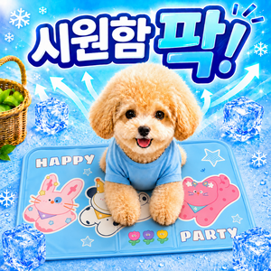 여름 캐릭터 젤리 말랑 접이식 아이스 방수 쿨매트 카피바라 시베리아 쿨방석, 1개, 스카이삼형제