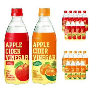 웅진 애사비 2종 오리지널 10 + 제주청귤하귤 10, 500ml, 20개