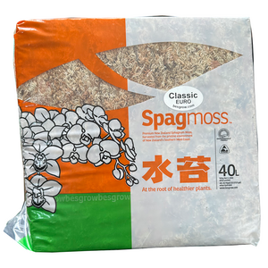 질좋은 고급 수태 뉴질랜드산 정겨운화분집, 500g, 1개