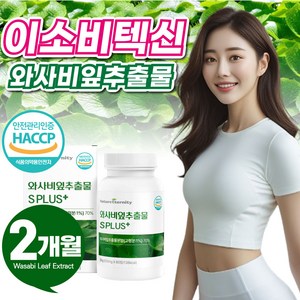 이소비텍신 국산 국내산 와사비 잎 추출물 고함량 식약청 인증 식약처 고추냉이잎, 2박스, 60정