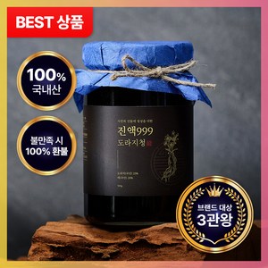 진액999 도라지청 재배한지 99.9시간만에 제작된 약도라지청, 500ml, 1개