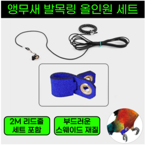 베리온스 초간편 앵무새 발목링 리드줄 산책 훈련 키트, 1세트, 블루 7호