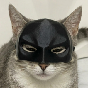 고양이 베트가면 배트켓 마스크 할로원 코스프레 동물 가면, 1개, 블랙 S