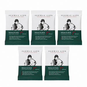 슬로울리라이프 노령견 노견 소프트 연령별 샘플 사료, 5개, 40g, 연어+오리
