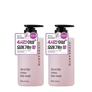 씨널스 씨어터 아로마 퍼퓸 보습 바디워시, 2개, 500ml