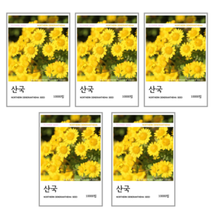 산국 씨앗(코팅 종자) 10000립, 5개