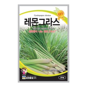 세계종묘 레몬그라스 20립 일반종 레몬향 식용꽃 허브 꽃씨 씨앗 종자 세계, 1개