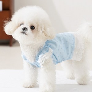 Coablu 강아지 고양이 플라워 리본 민소매 원피스 얇은 통기성, 1개, 파란색