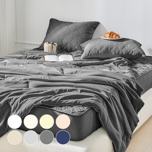 데시뉴 뉴노멀 항균 사계절 다운필 차렵이불