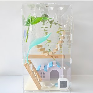아스티렙 크레스티드 게코 아크릴 사육장 세트 20x20x35cm, 1세트, 블루 은신처