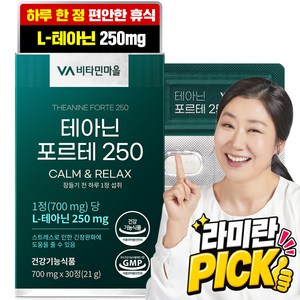 비타민마을 테아닌 포르테 250 21g, 1개, 30정