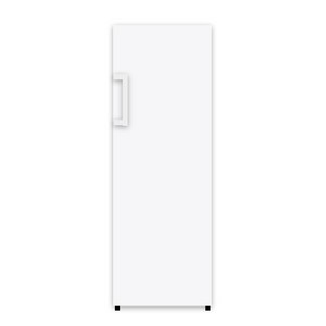 삼성전자 227L 냉동고 방문설치, 화이트, RZ22CG4000WW