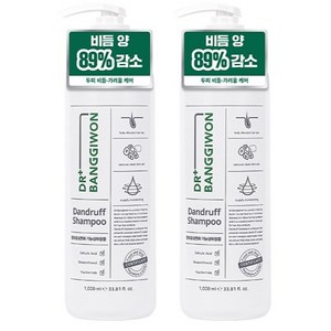 닥터방기원 댄드러프 비듬케어 탈모샴푸, 1L, 2개