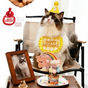 강아지 고양이 생일파티 케이프 모자 숫자스티커, 1세트, 클래식레드