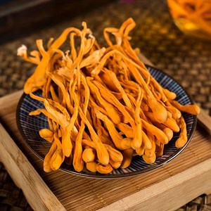 밀리타리스 동충하초 (건조), 1개, 50g
