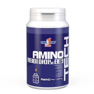 원데이뉴트리션 파인애플맛_아미노테크, 200g, 1개