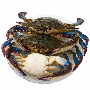 [선별특품] 서해안 활 숫꽃게 당일조업 살이꽉찬 제철 꽃게 디아머스, 1박스, 6kg