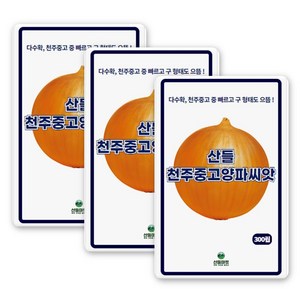 산들 천주중고 양파씨앗 300립 다수확 천주중고 중 빠르고 형태도 좋은 소량 양파씨 종자, 3개