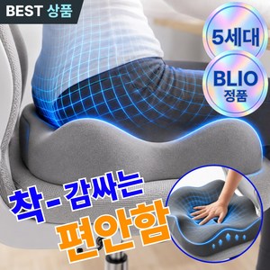 블리오 밸런스핏 3.0 맥스 입체쿠션 방석 고밀도 메모리폼