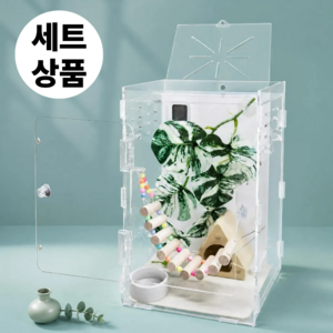 필핏 크레스티드 게코 사육장 도마뱀 파충류 은신처 세트, 1세트, 몬스테라