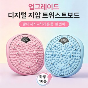 허리 트위스트 보드 복부 운동기구 홈트레이닝 뱃살 다이어트 허리 골반 운동기구, 1개, 블루