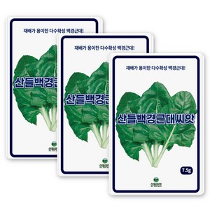산들 백경 근대씨앗 7.5g 내병성 다수확성 백색 근대씨 종자, 3개