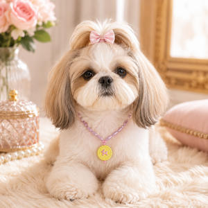 이쿠이칸 강아지 고양이 공용 목걸이 반려동물 악세사리HJCWXL2250, 1개, 노랑&핑크